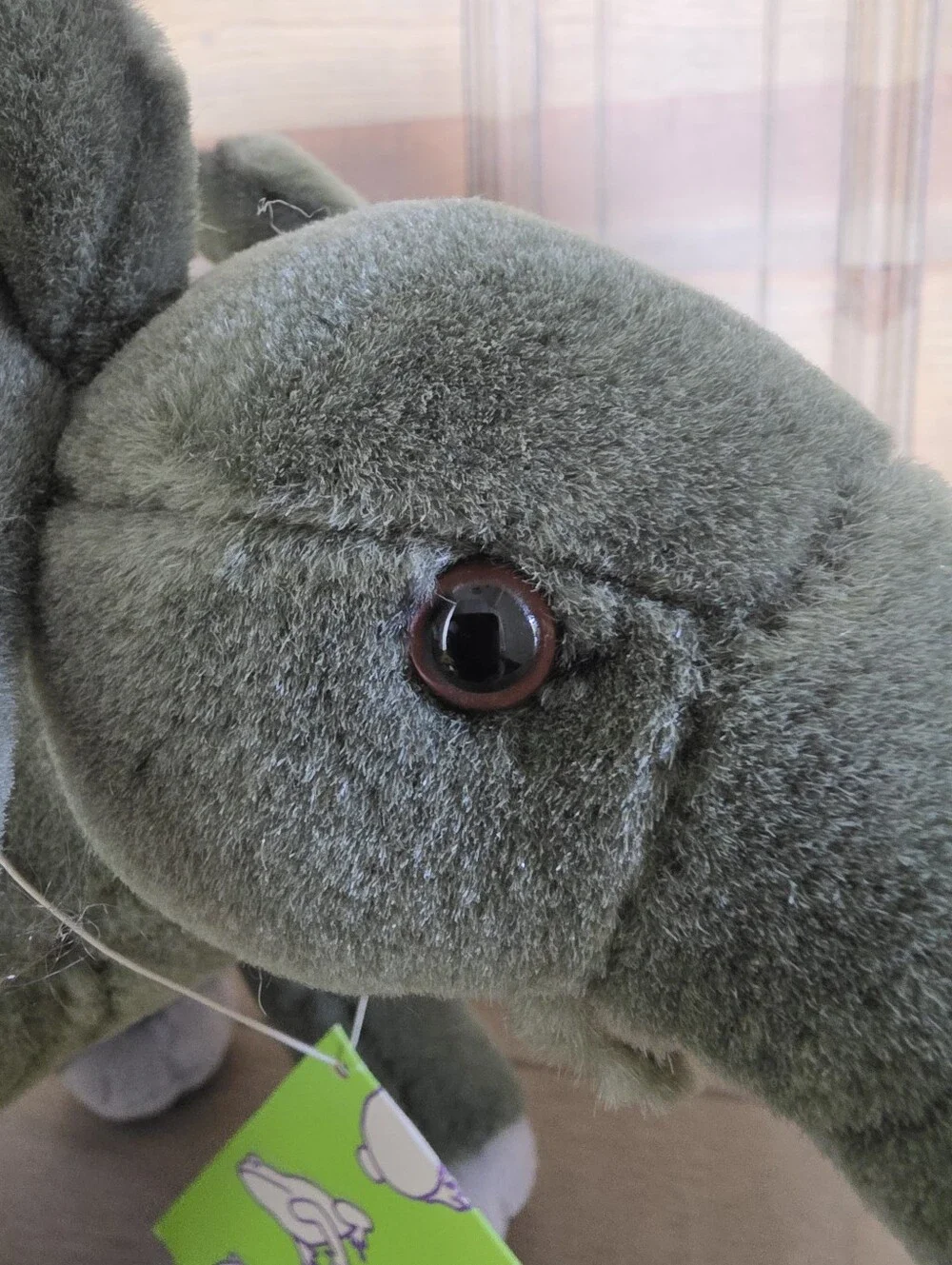 Discovery animal planet